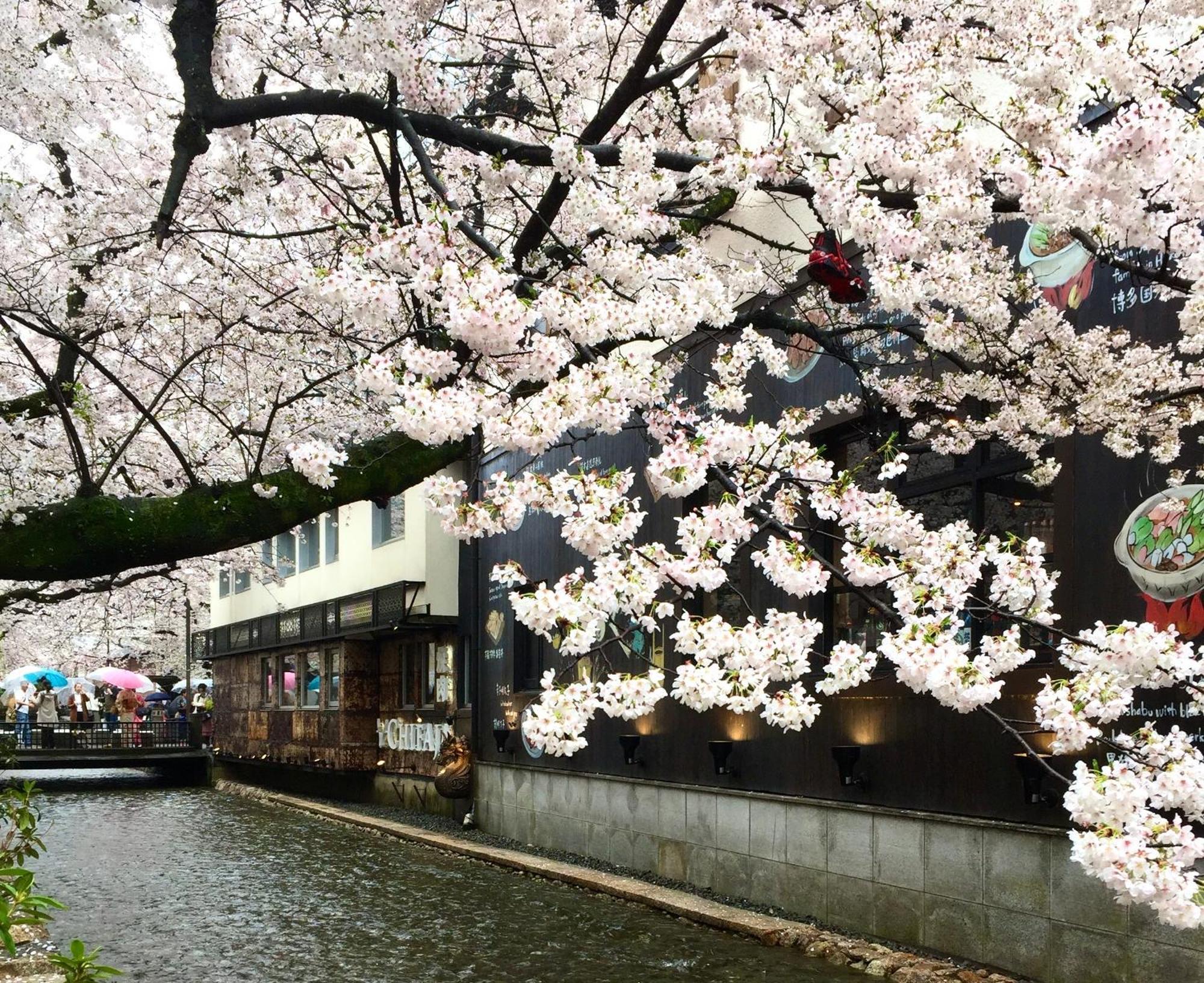 Abiz Hotel, Kyoto